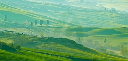 Sustainability